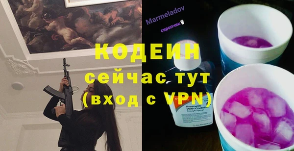 ГАЛЛЮЦИНОГЕННЫЕ ГРИБЫ Струнино